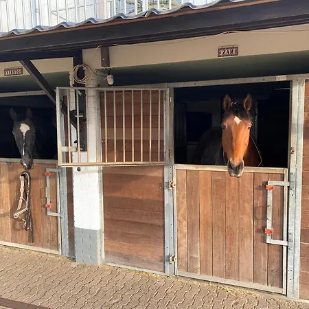 Luxury - Eik Op De Dijk Bed & Breakfast *