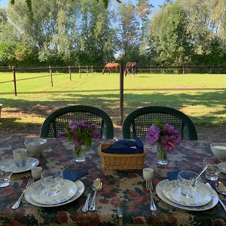 Luxury - Eik Op De Dijk Bed & Breakfast