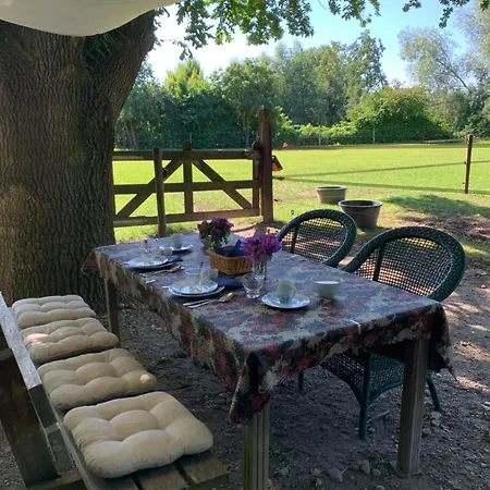 فندق مبيت وإفطار Luxury - Eik Op De Dijk Aalst