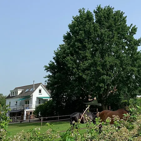 Luxury - Eik Op De Dijk Aalst