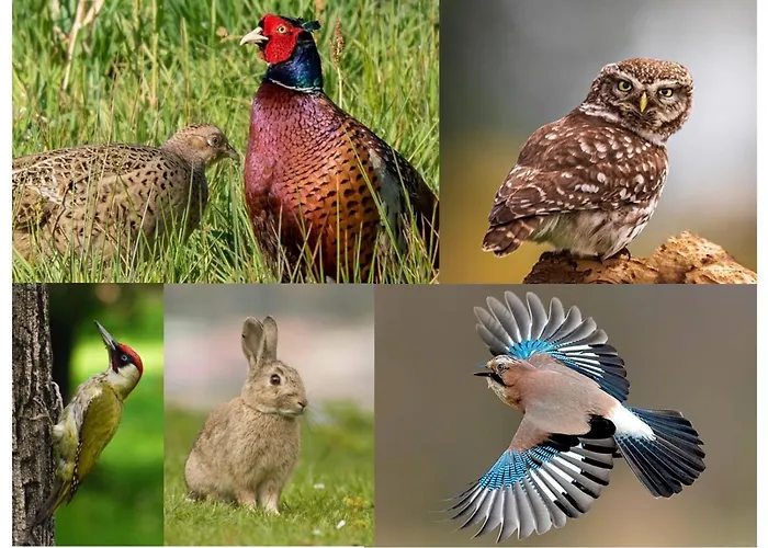 Luxury - Eik Op De Dijk Nocleg ze śniadaniem