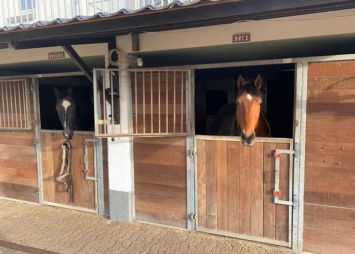 Luxury - Eik Op De Dijk Nocleg ze śniadaniem 3*