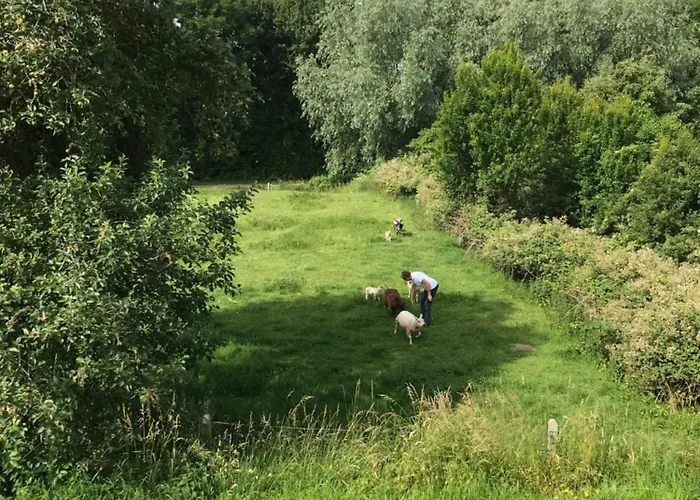 Nocleg ze śniadaniem Luxury - Eik Op De Dijk Aalst