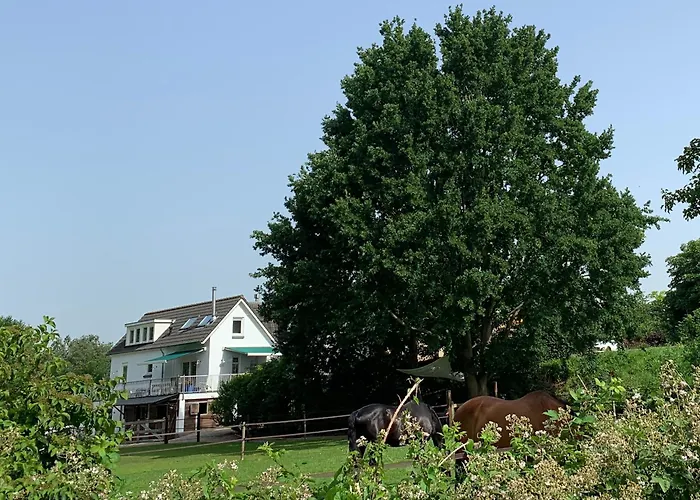 Luxury - Eik Op De Dijk Aalst