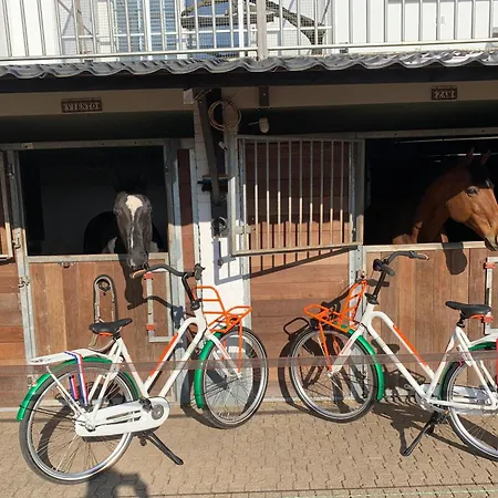 Luxury - Eik Op De Dijk 3* Aalst