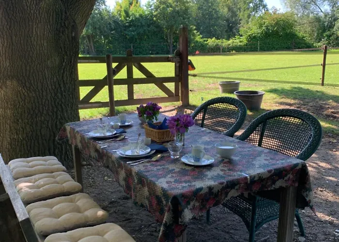 住宿加早餐酒店 Luxury - Eik Op De Dijk Aalst